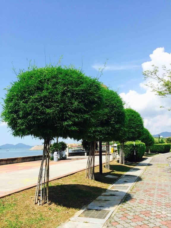 InPenang Muslim Homestay Georgetown Bilik gambar